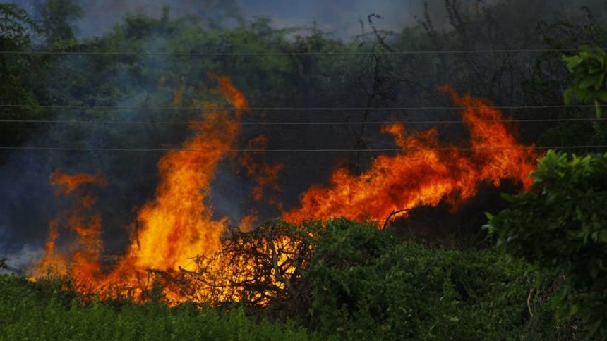 Brush fire spreads to 120 acres off Highway 190 east of Porterville, officials say