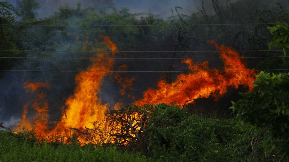 Brush fire spreads to 120 acres off Highway 190 east of Porterville, officials say