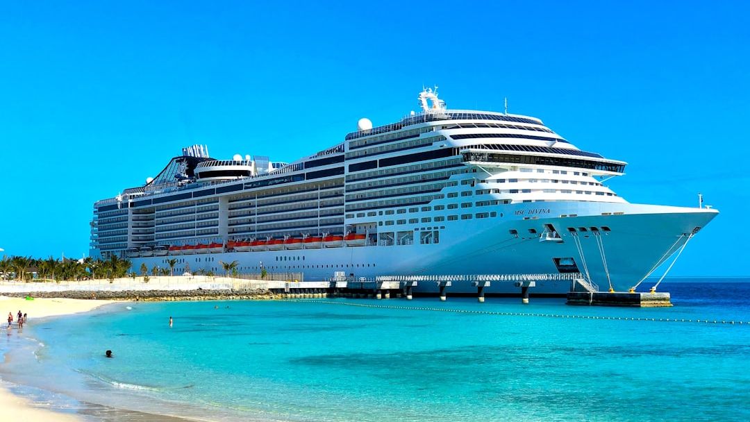 Hantavirus-stricken cruise ship docks in the Netherlands for disinfection