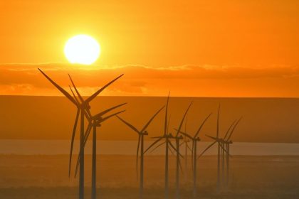 Solar to overtake coal on Texas grid for the first time ever this year