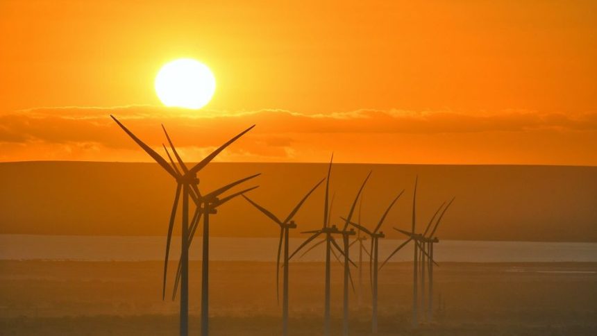 Solar to overtake coal on Texas grid for the first time ever this year