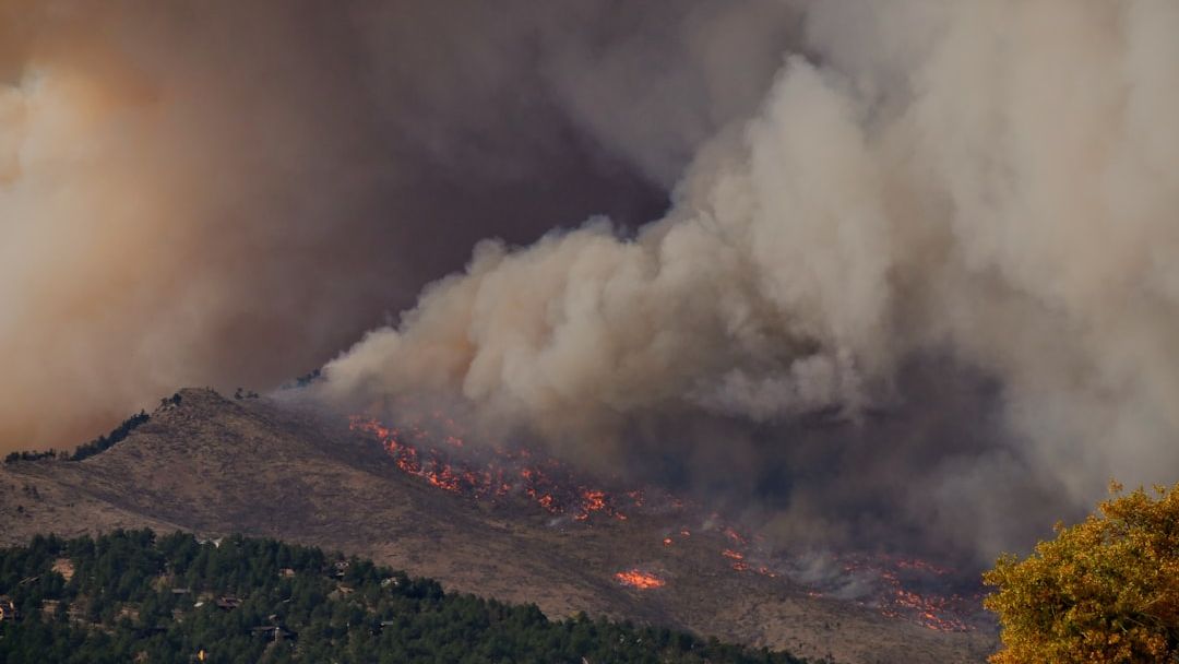 After Snowy Winter Delays Prevention, New Jersey Faces Rising Wildfire Risk