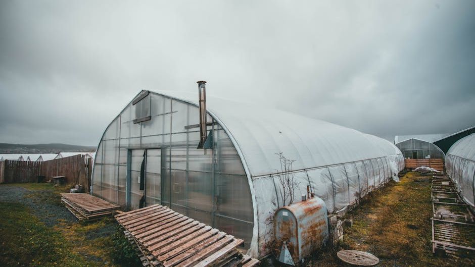 Pennsylvania greenhouse stays warm by storing heat underground