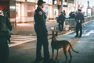 Mesquite police recover more than 80 dogs from man's RV