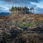 Seasonal patterns that farmers trusted for generations have suddenly turned unpredictable