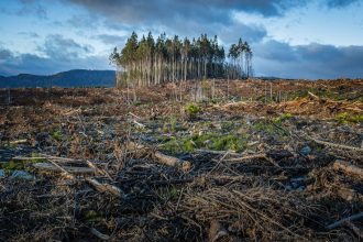Seasonal patterns that farmers trusted for generations have suddenly turned unpredictable