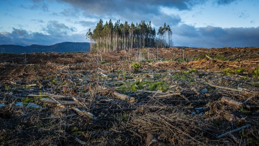 Seasonal patterns that farmers trusted for generations have suddenly turned unpredictable
