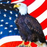 America: The Real Crouching Tiger, Hidden Dragon