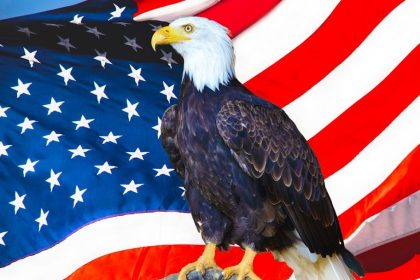 America: The Real Crouching Tiger, Hidden Dragon