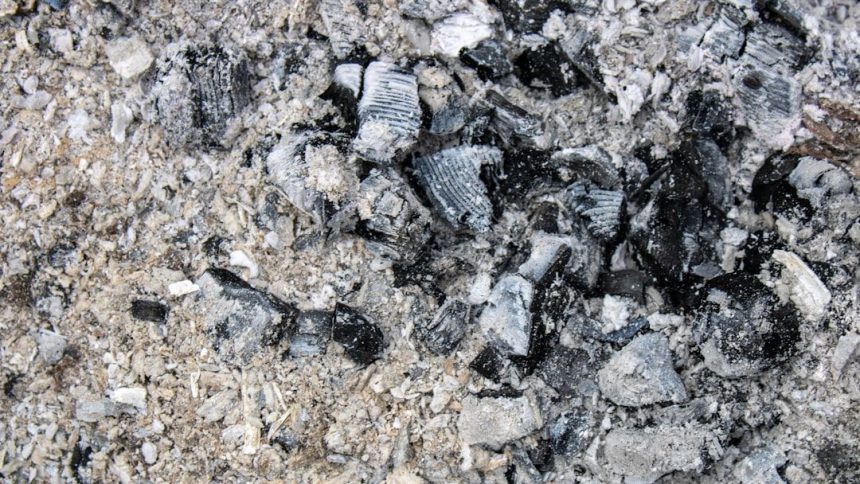 Alabama Coal Ash Lawsuit Can Continue, Appeals Court Rules