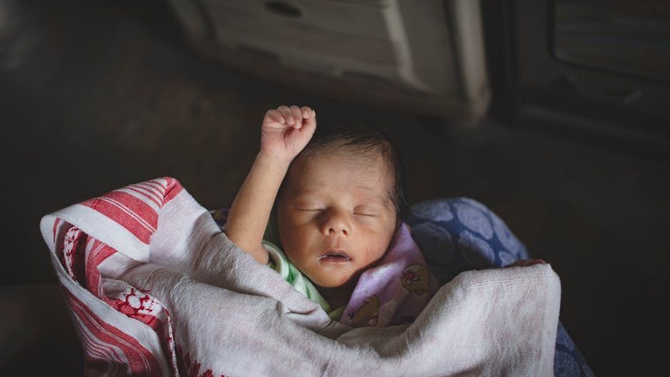 Falling Birth Rates Are a Mystery