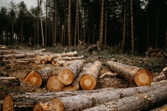 Cropped 20 May 2026: Deforestation roadmap | Melanesian Ocean Summit | Returning pet parrots to the wild