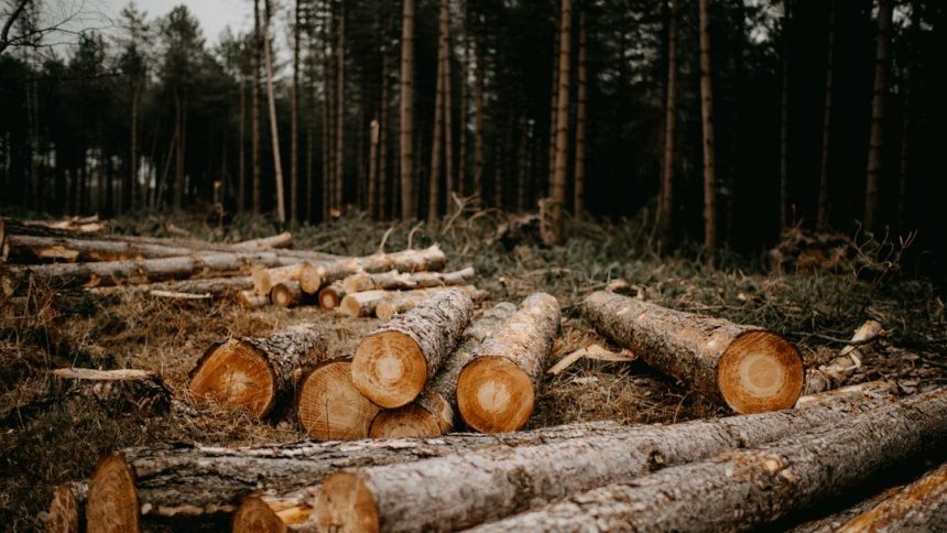 Cropped 20 May 2026: Deforestation roadmap | Melanesian Ocean Summit | Returning pet parrots to the wild