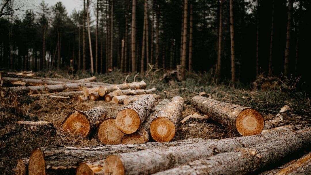 Cropped 20 May 2026: Deforestation roadmap | Melanesian Ocean Summit | Returning pet parrots to the wild