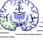 How 10 Memory Palaces Actually Work - And Why the Ancients Swore By Them