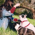 If Your Dog Follows You Everywhere, Here's What Vets Say It Means