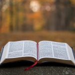The Translation Choice That Changed How an Entire Country Read a Classic