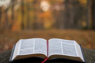 The Translation Choice That Changed How an Entire Country Read a Classic
