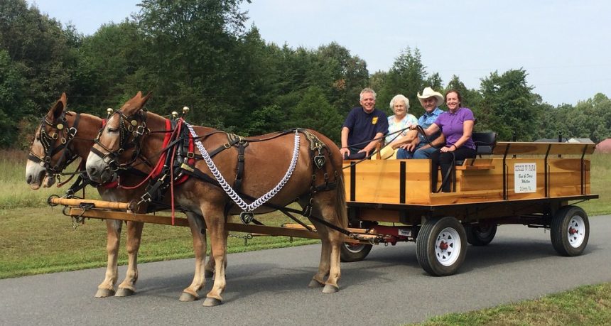10 Fall Traditions From the 1970s and '80s, From Apple Bobbing to Hayrides