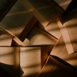 How Translators Handle Wordplay in Novels
