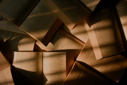How Translators Handle Wordplay in Novels